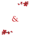 The Home & Garden Company