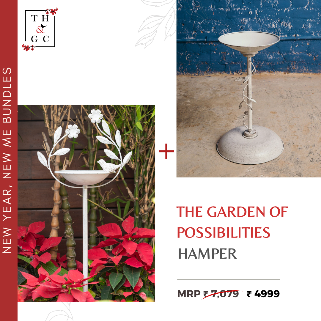 The Garden Of Possibilities Hamper