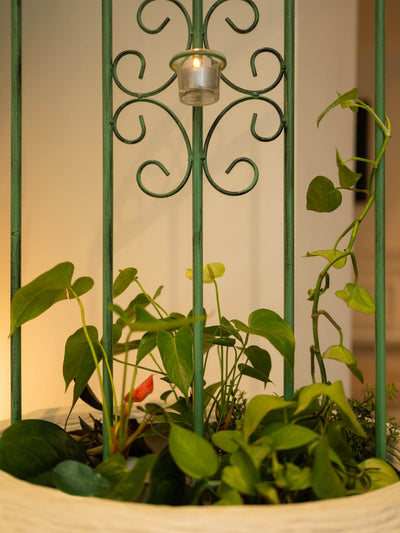 Turkish Trellis