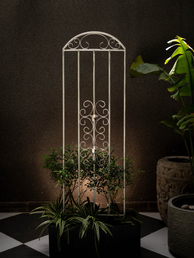 Turkish Trellis